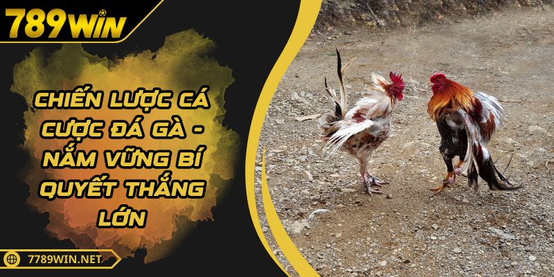 Chiến Lược Cá Cược Đá Gà - Nắm Vững Bí Quyết Thắng Lớn