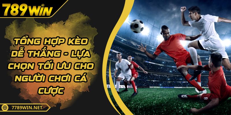 Tổng Hợp Kèo Dễ Thắng - Lựa Chọn Tối Ưu Cho Người Chơi Cá Cược